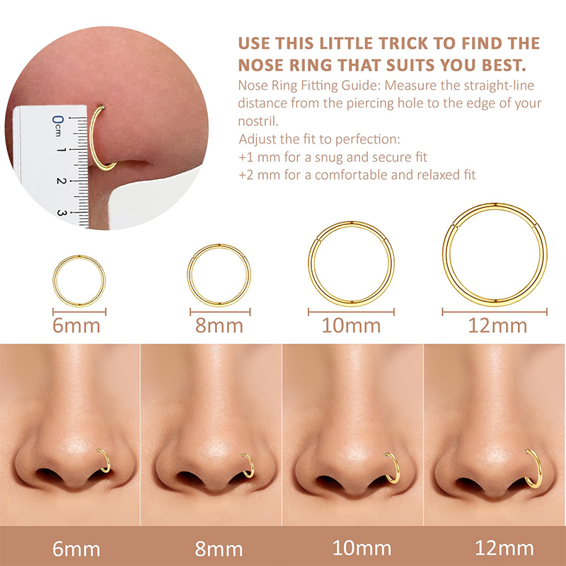16G 316L Surgical Steel Hinged - Body Jewelry And Earrings บทวิจารณ์และราคา