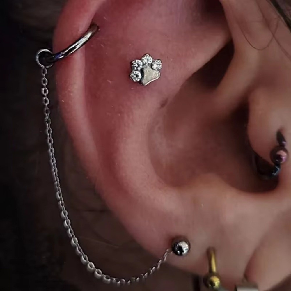 Titanium Nose Chain Three Laye - Body Jewelry Titanium บทวิจารณ์และราคา