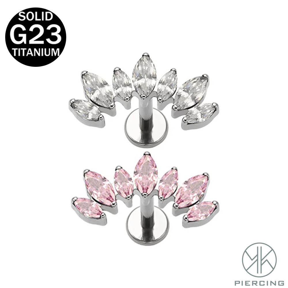 16G 18G F136 Titanium Brand Ne - Body Jewelry Brands บทวิจารณ์และราคา