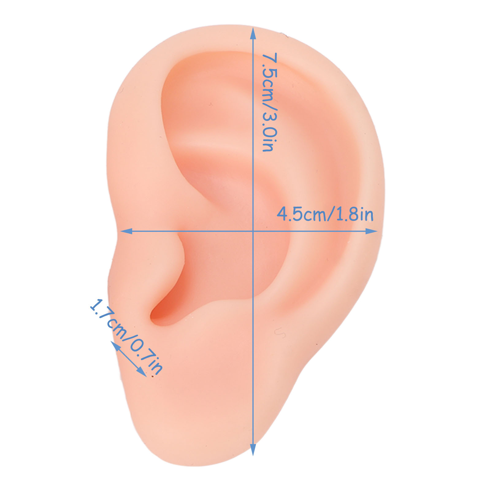 Silicone Human Ear Model 1 Pai - Body Jewelry Display บทวิจารณ์และราคา