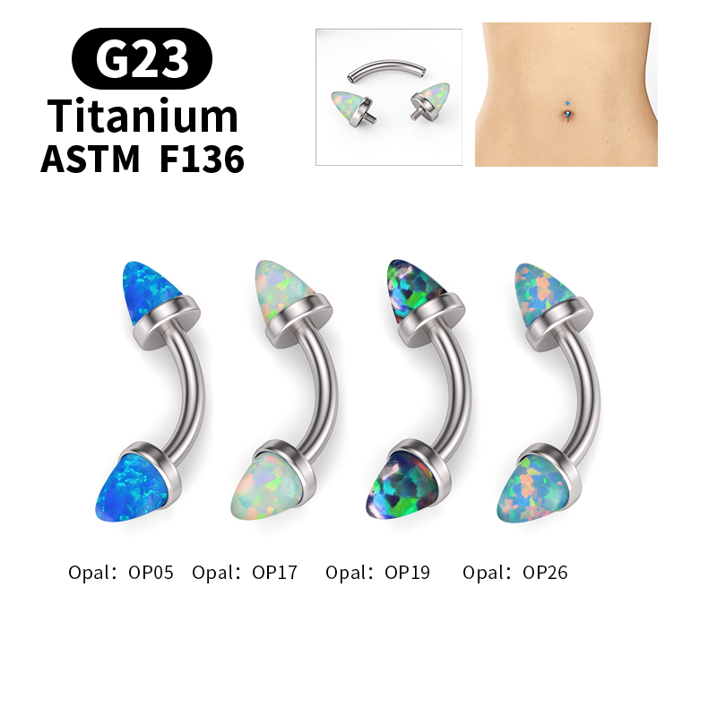 G23 Titanium Exquisite Opal Be - Zoor Body Jewelry บทวิจารณ์และราคา